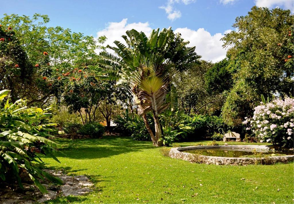 Hacienda San Francisco Tzacalha Dzidzantún Exterior foto